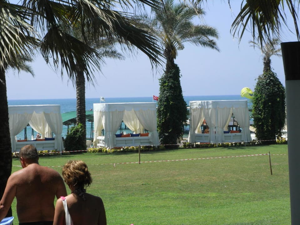 Himmelbettpavillions Papillon Ayscha