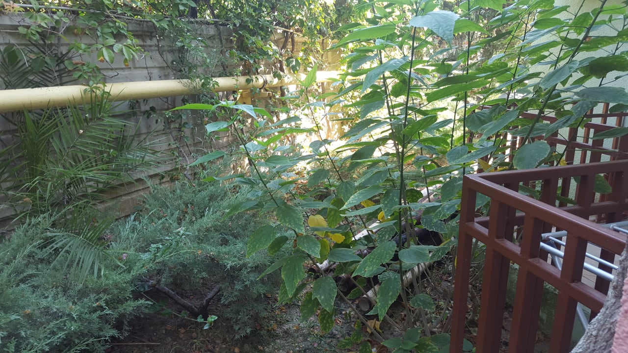 Zimmer VONRESORT Golden Beach