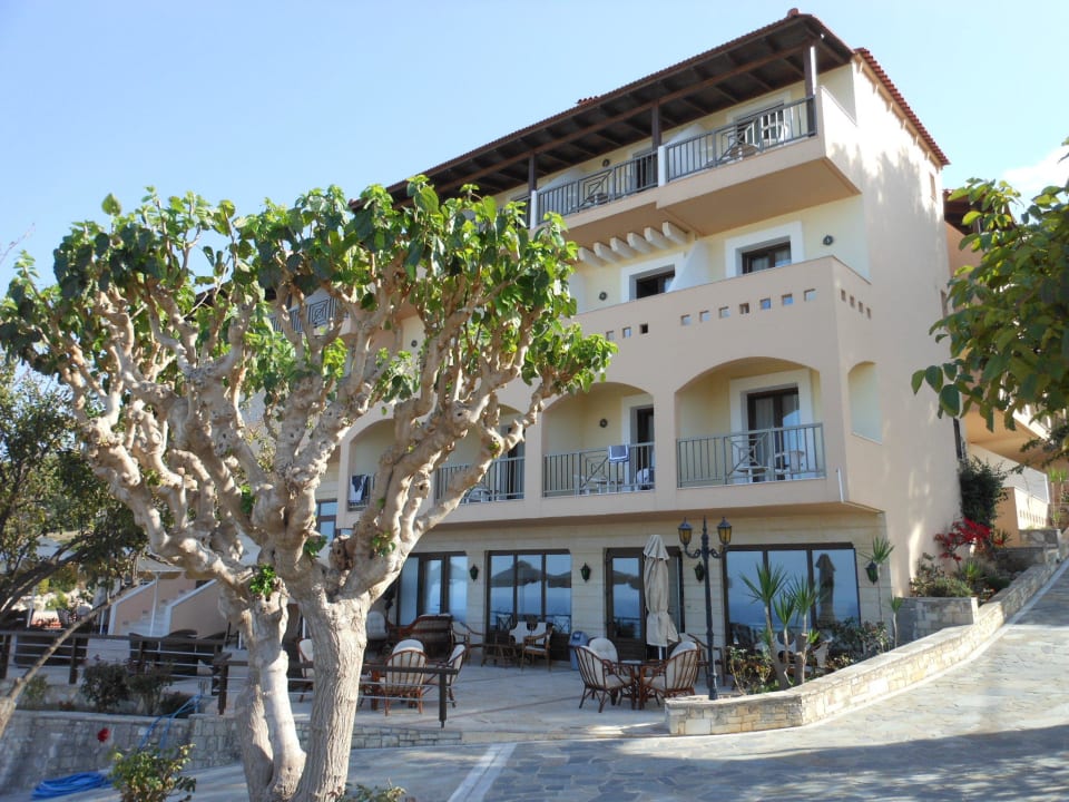 Außenanlage Hotel Forest Park