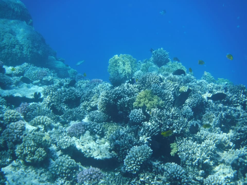 Sport & Freizeit Stella Beach Resort & Spa Makadi Bay