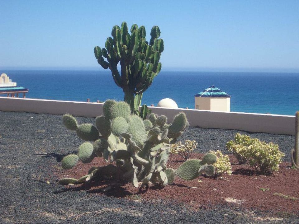 Blick von Restaurantterrasse H10 Playa Esmeralda - Adults only