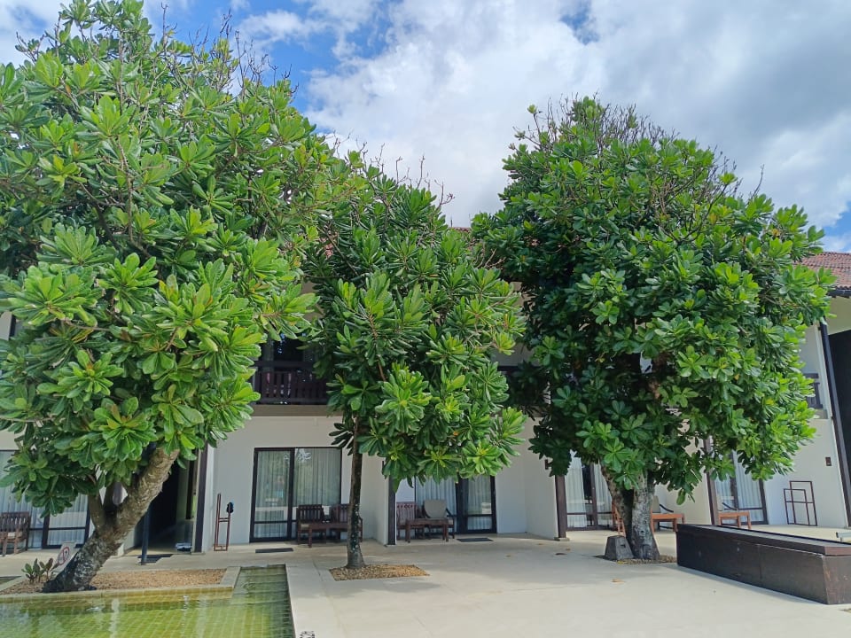 Außenansicht Pandanus Beach Resort & Spa