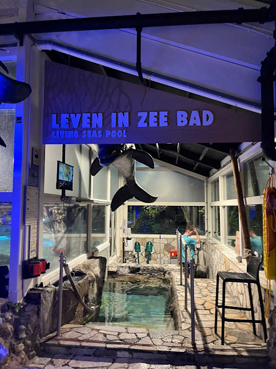 Pool Center Parcs De Kempervennen