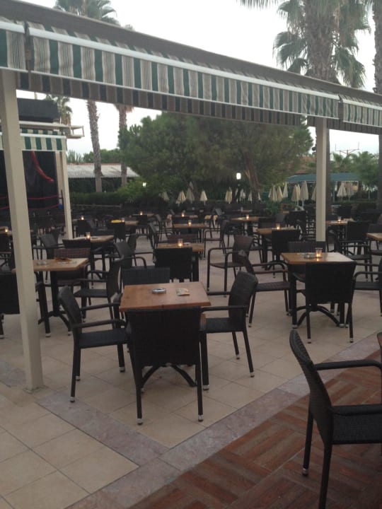 Poolbar Trendy Palm Beach (Adults Only, 16+)