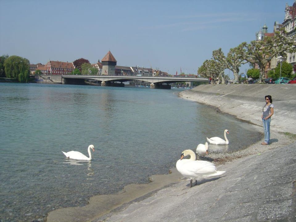 Blick zur Brücke Steigenberger Inselhotel