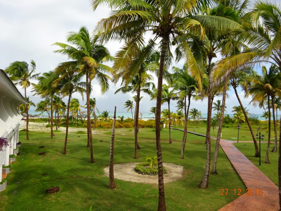 Gartenanlage Hotel Camino del Mar Cayo Guillermo