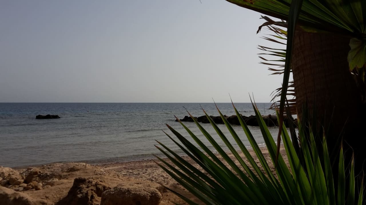 Strand Pickalbatros Citadel Resort