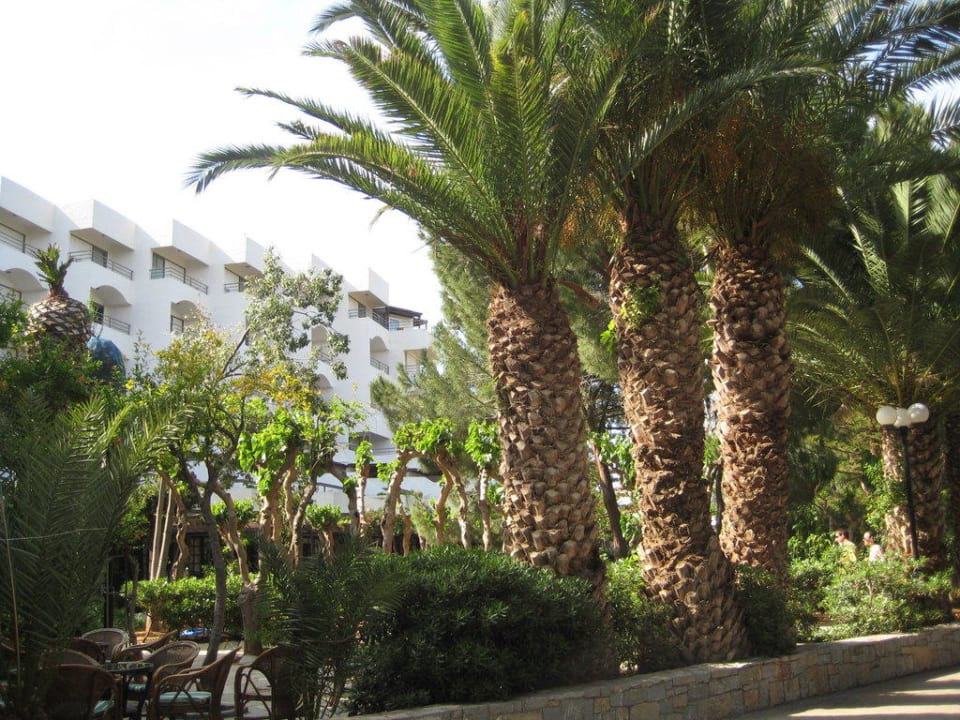 Haupthaus Apollonia Beach Resort & Spa