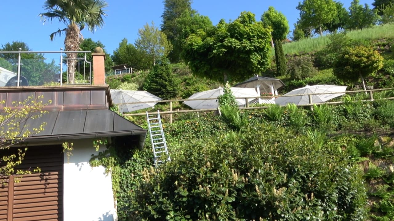 Gartenanlage Schwarzwald Resort Dollenberg