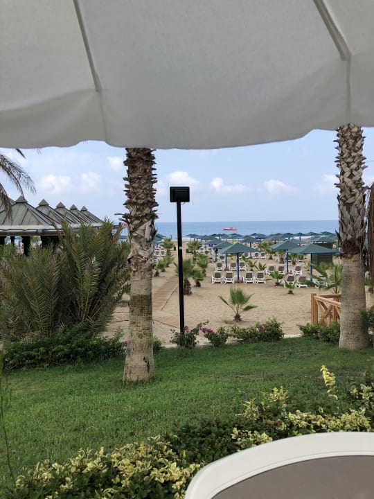 Strand Paloma Oceana