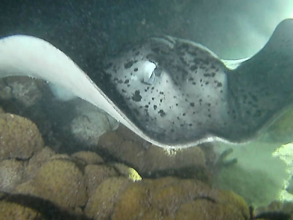 Hotel Reethi Beach Resort NH Collection Maldives Reethi Resort