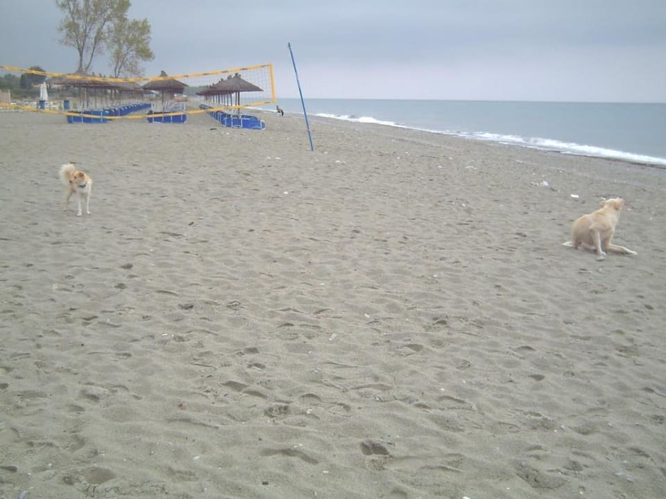 Alles dreckig Olympian Bay Grand Resort