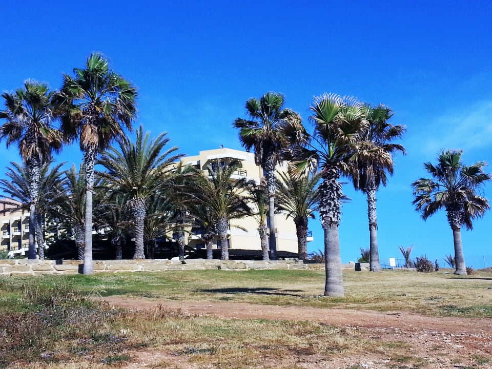 From the beach Hotel Capital Coast Resort & Spa