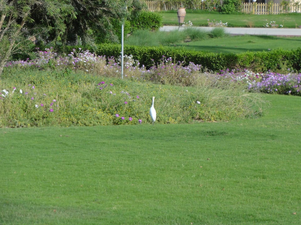 Gartenanlage Cleopatra Luxury Resort Makadi Bay