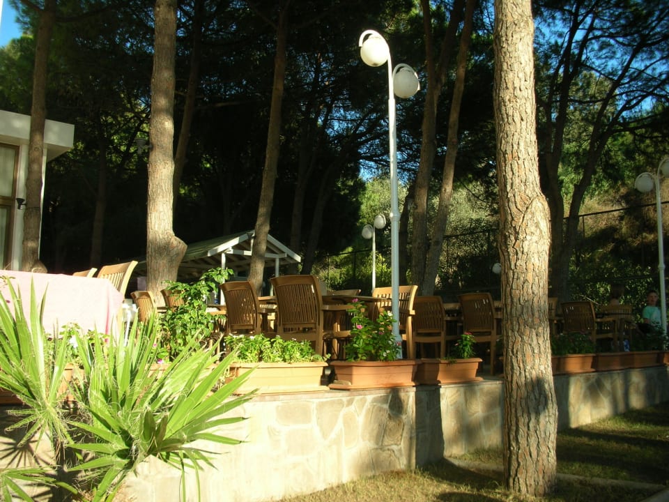 Vom Pool aus gesehen Hotel Grand Efe