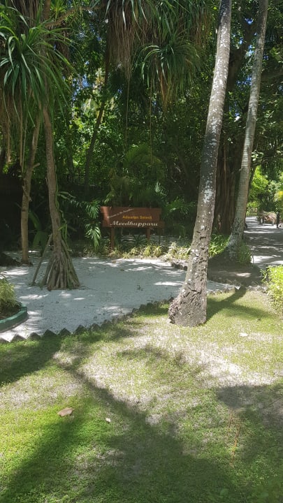 Hotelname Adaaran Select Meedhupparu Island Resort - Premium All Inclusive