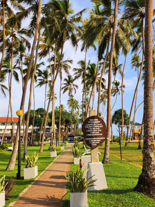 Gartenanlage Tangerine Beach Hotel