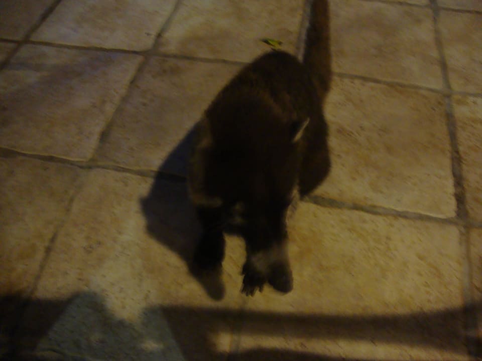 Hotel Catalonia Playa Maroma Catalonia Playa Maroma