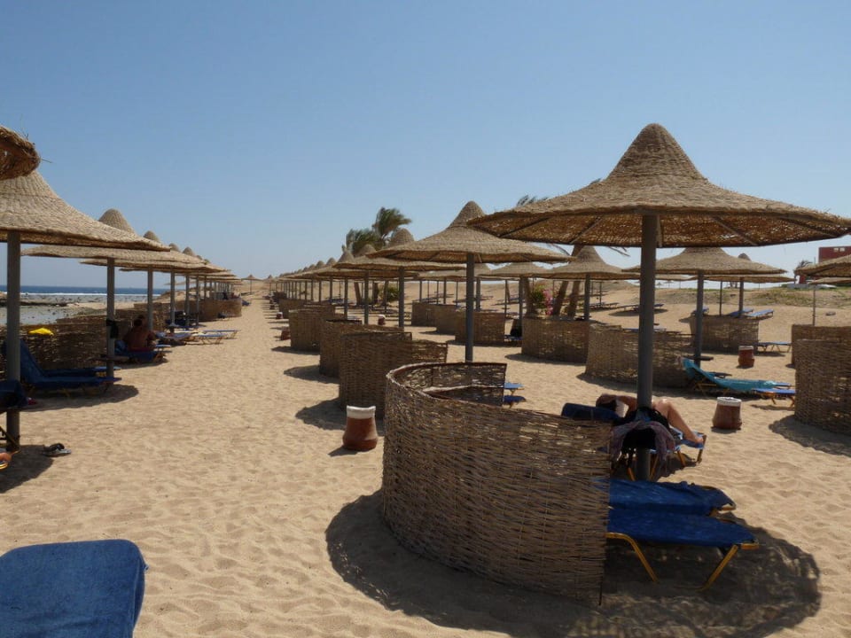 Und wieder die Reihen, wer als erster kommt Malikia Resort Abu Dabbab