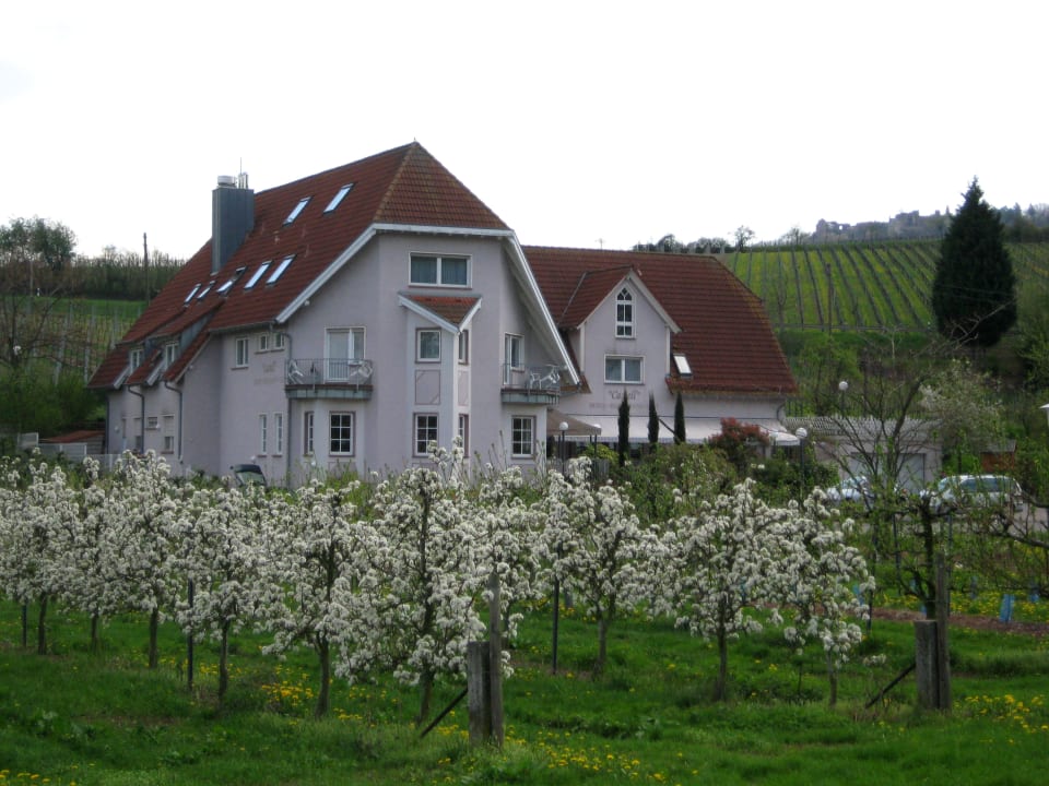 Außenansicht Hotel Castell