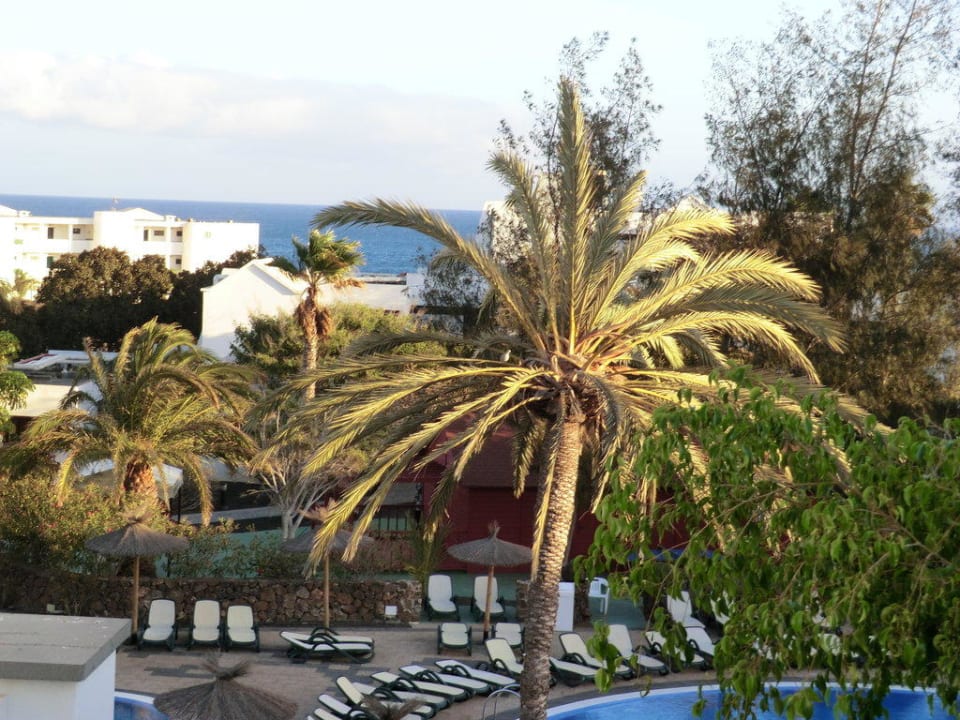 Ausblick vom Wohnzimmer allsun App.-Hotel Albatros