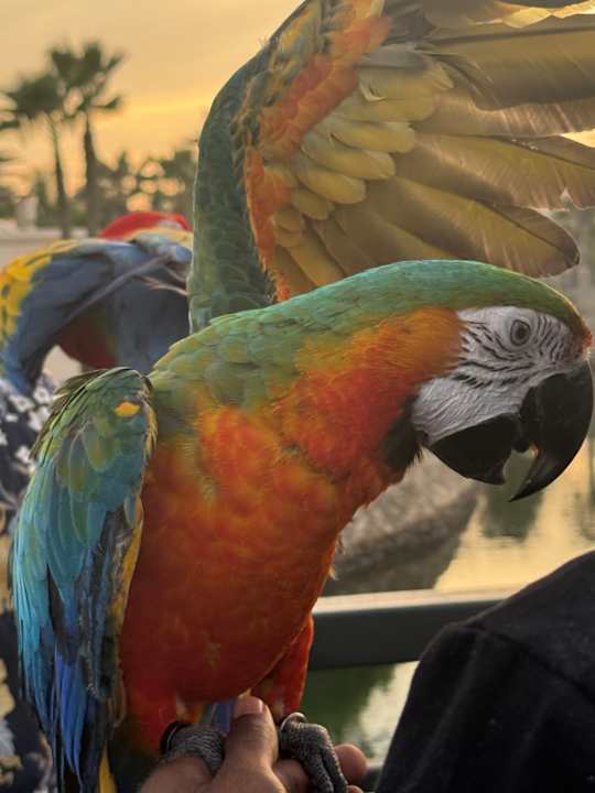 Sonstiges Salalah Rotana Resort