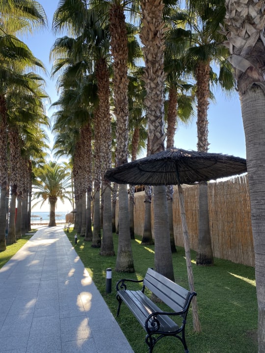 Gartenanlage Hotel Miramare Beach