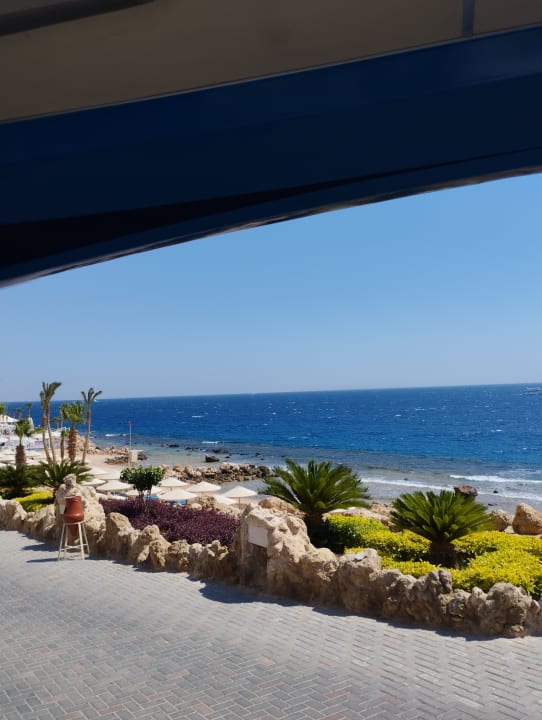 Ausblick Pickalbatros Citadel Resort