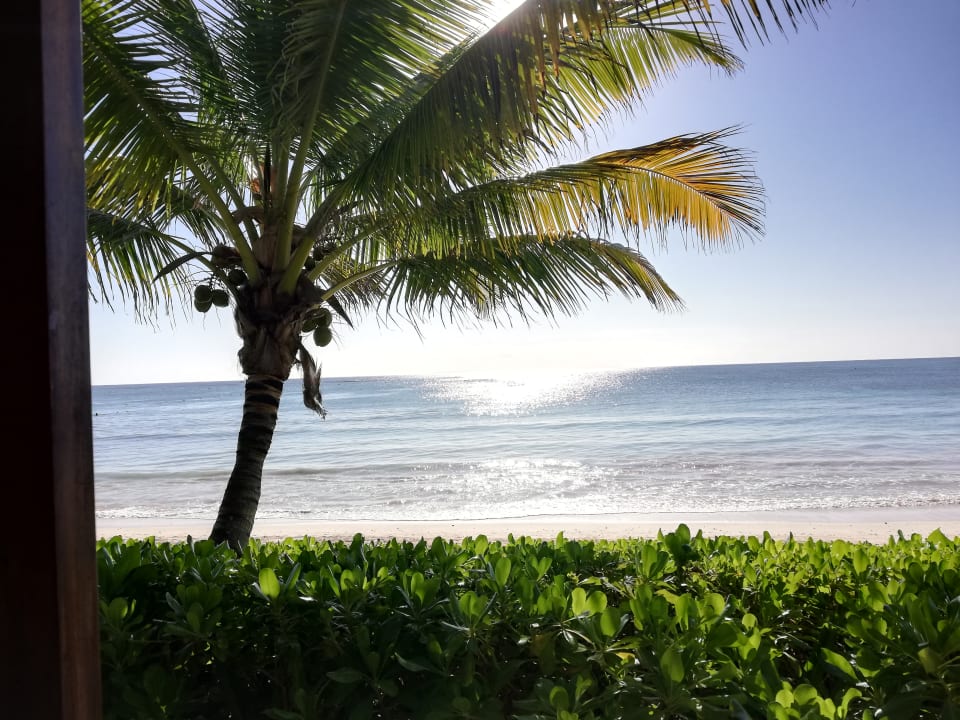 Ausblick Akumal Bay Beach & Wellness Resort