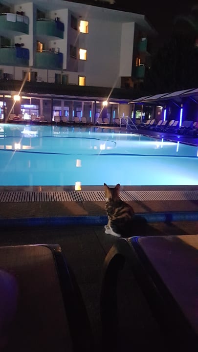 Pool Side Breeze Hotel