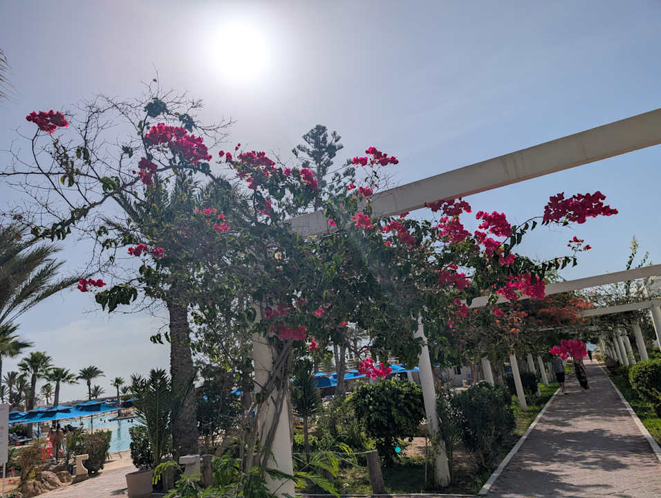 Außenansicht Royal Karthago Djerba