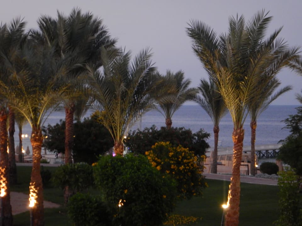 Ausblick Serenity Alpha Beach