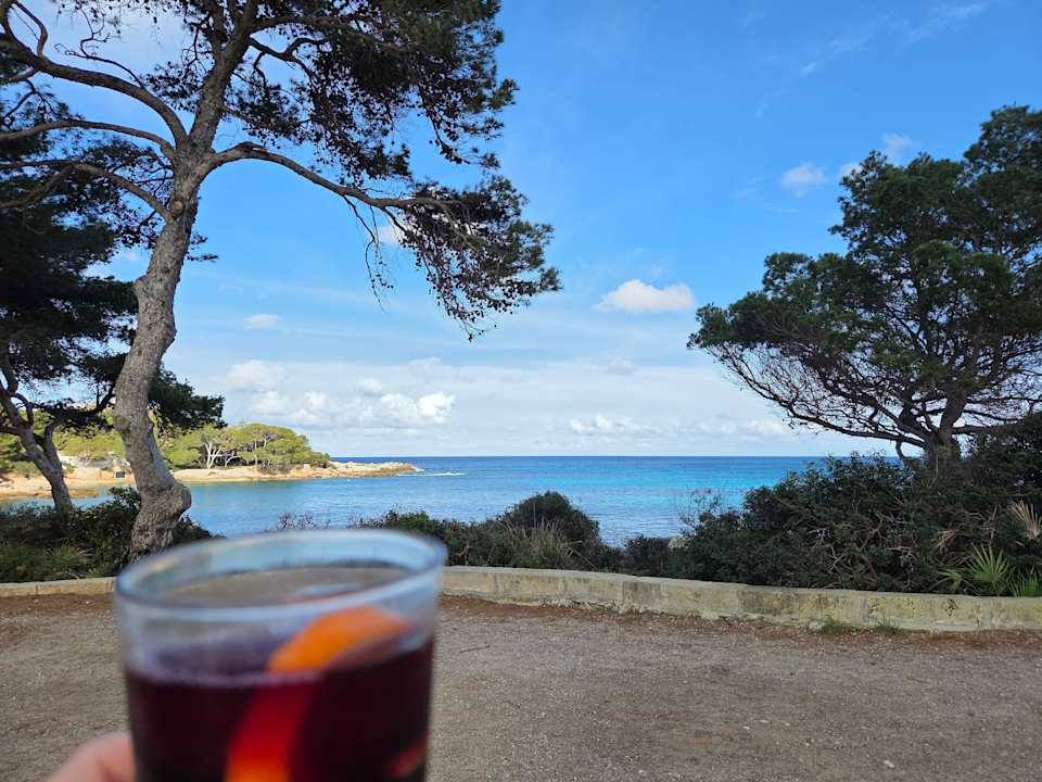 Ausblick Iberostar Waves Pinos Park