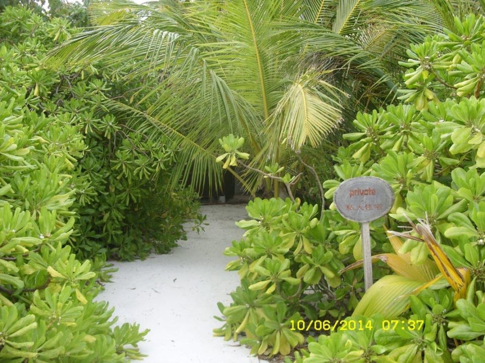 Privat Thulhagiri Island Resort