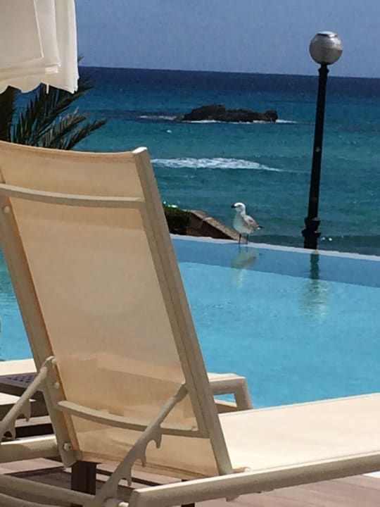 Pool Son Moll Sentits Hotel & Spa