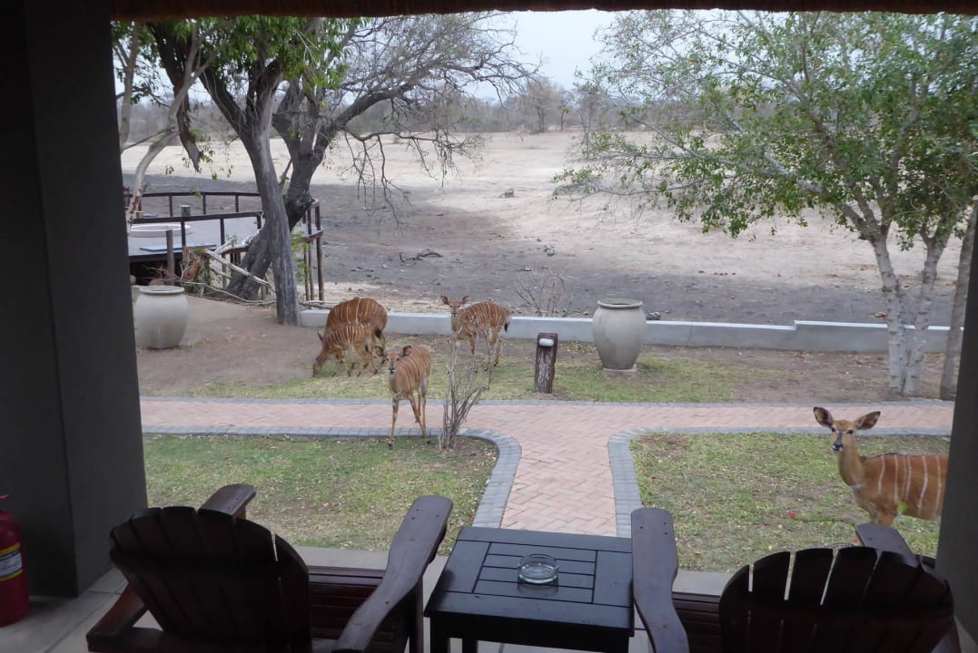 Leeres Wasserloch Hotel Arathusa Safari Lodge
