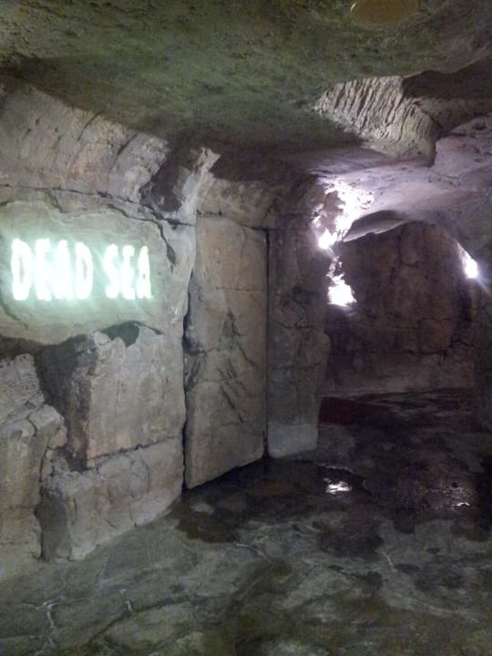 Vital Wellness Center Bull Eugenia Victoria & Spa