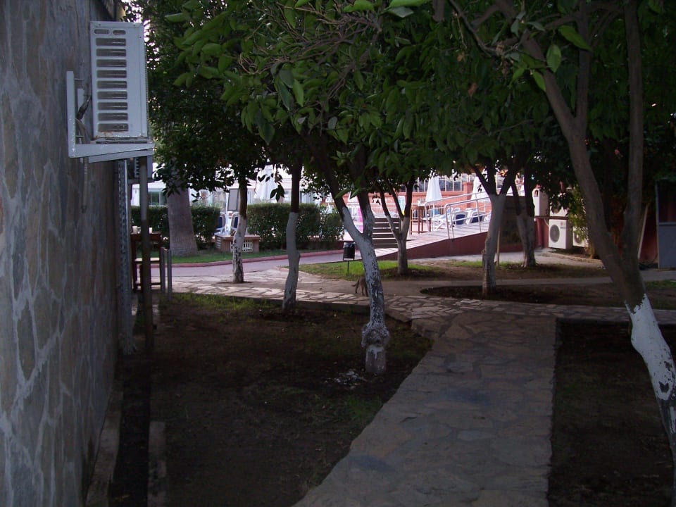 Zugang zu etlichen Doppelzimmern Seher Kumköy Star Resort & Spa