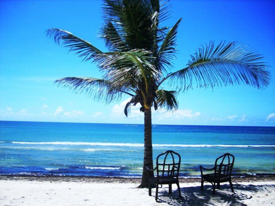 ruhiger Strand Hotel Jacaranda Indian Ocean Beach Resort