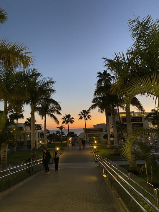 Gartenanlage Hotel Riu Arecas - Adults only