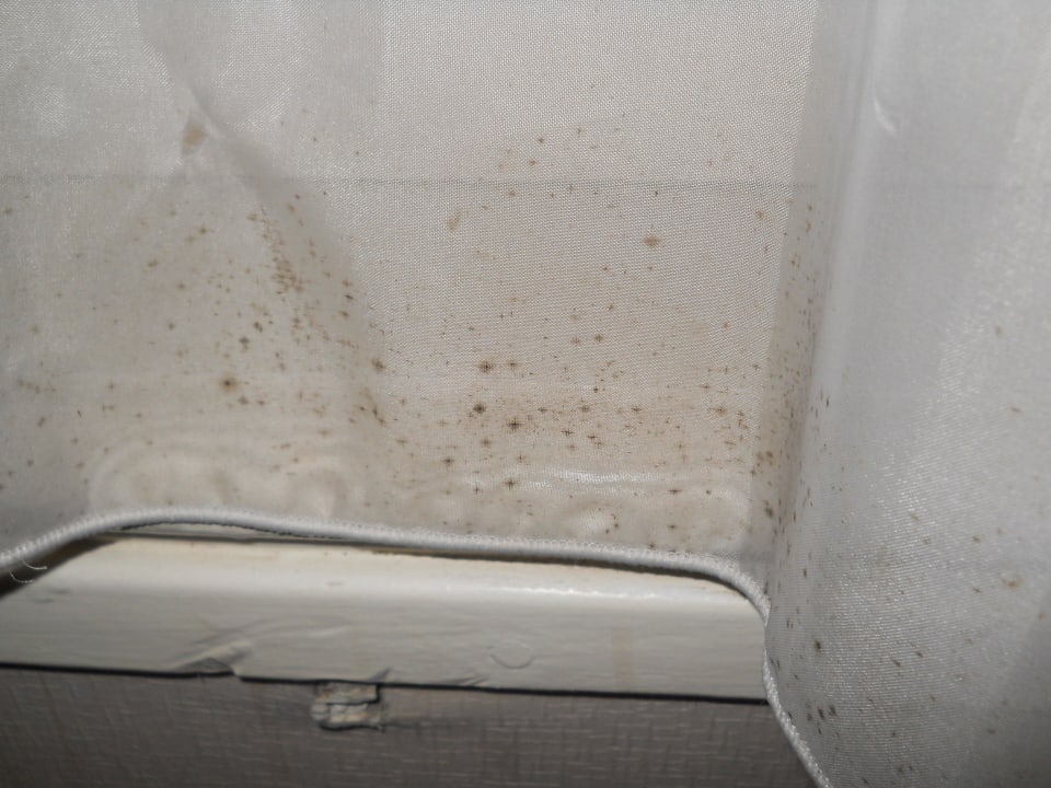 Schwarzer Schimmel in der Gardine XO Hotel Inner