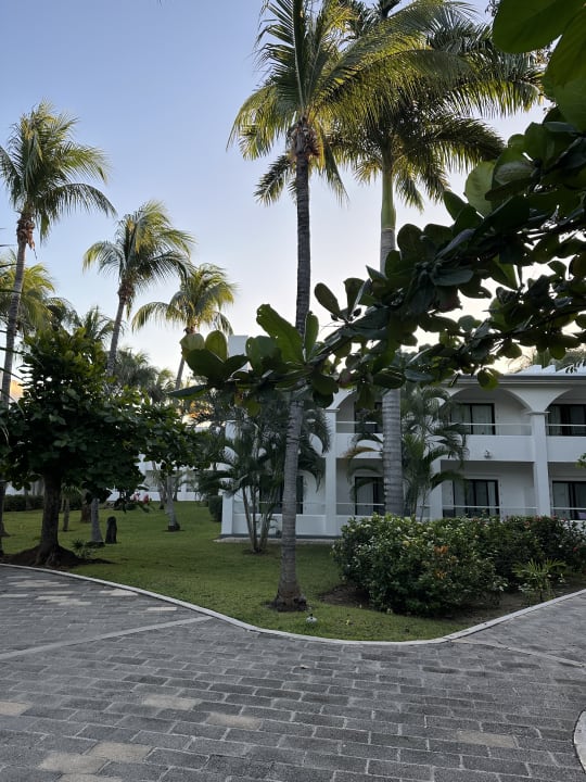Gartenanlage Hotel Riu Tequila