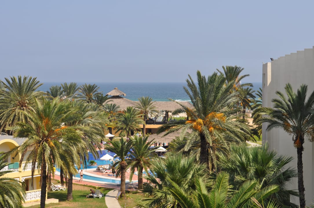 Ogród Hotel Marhaba Club