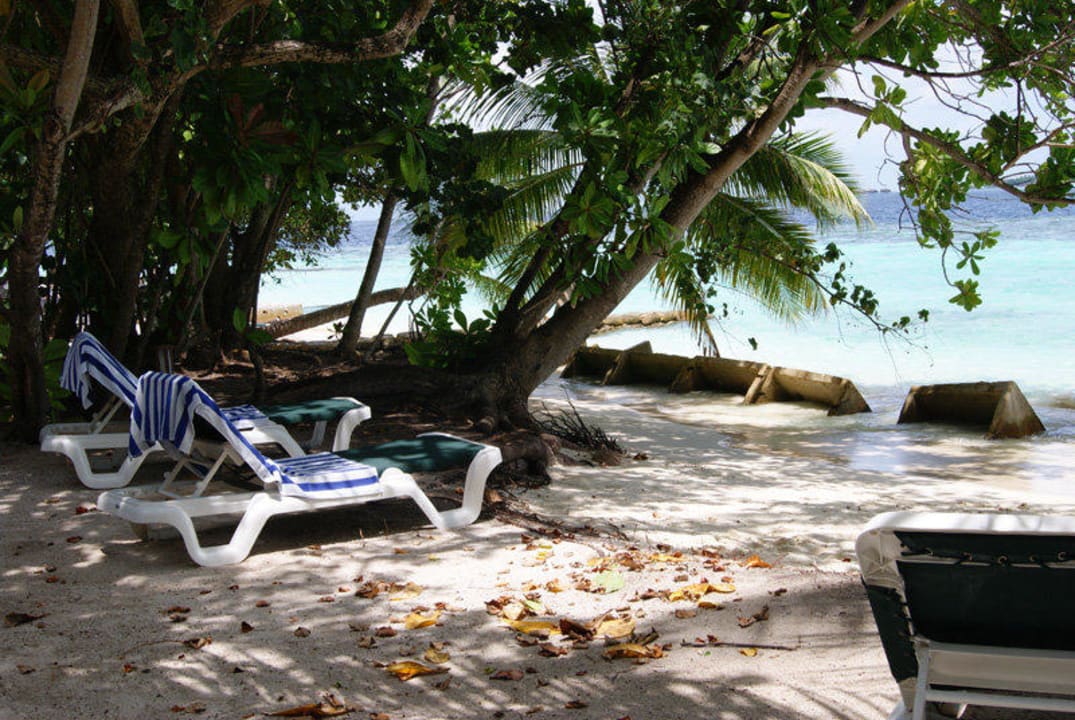 Kein Strand (etwa vor 150-160) Vilamendhoo Island Resort & Spa