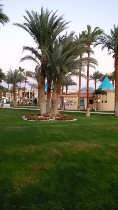 Gartenanlage Beach Albatros Resort