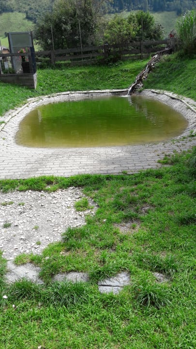 Gartenanlage Hotel Grimming