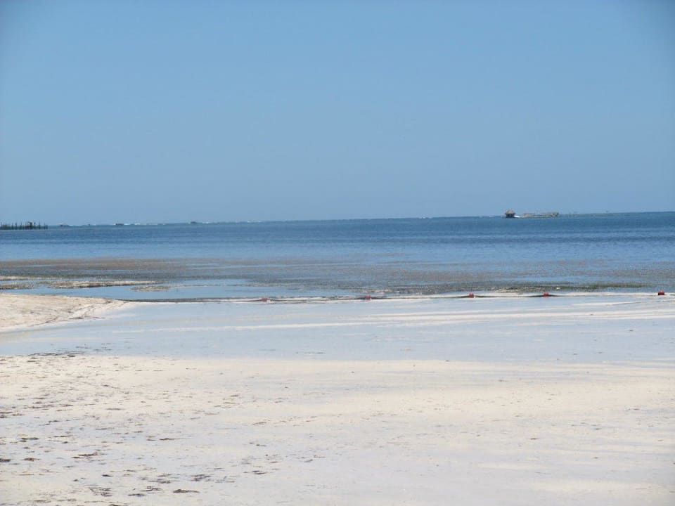 Schwimmen im Meer? Catalonia Punta Cana - All Inclusive