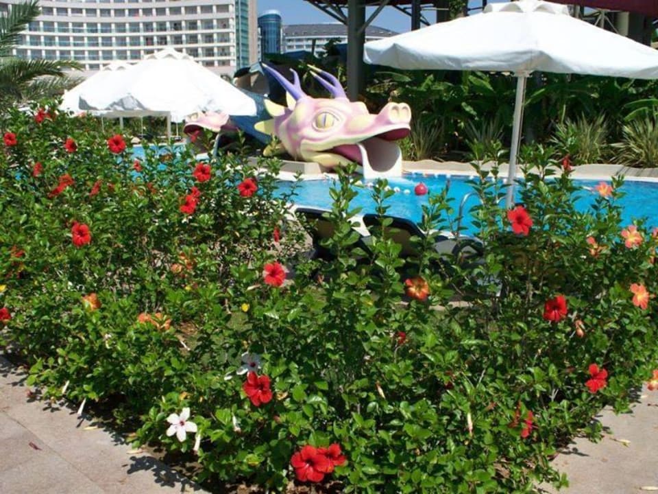 - Limak Lara Deluxe Hotel & Resort