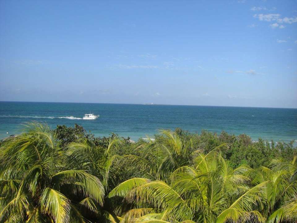 Ausblick aus dem Restaurant in Strandnähe Iberostar Origin Playa Alameda