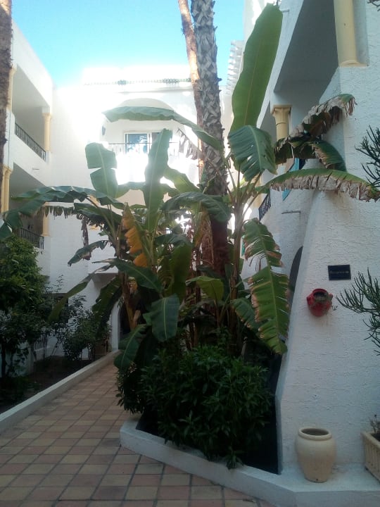 Außenanlage Hotel Nesrine